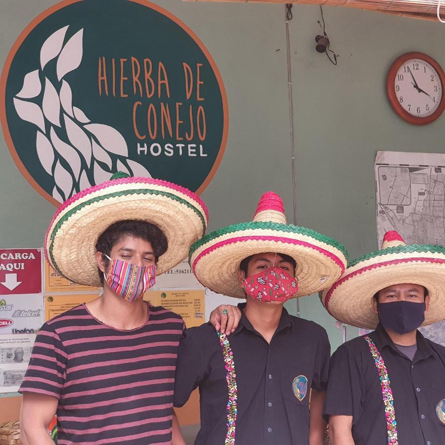 Hierba De Conejo Hostel Oaxaca Exteriér fotografie
