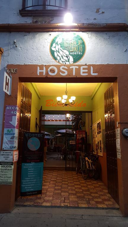 Hierba De Conejo Hostel Oaxaca Exteriér fotografie